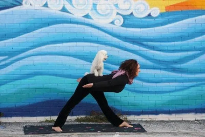 Lire la suite à propos de l’article Le Doga : Un sport doux à faire avec son chien