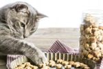 Biscuits pour chat au poulet sans gluten