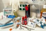 Trousse de secours pour chien : quel est le minimum à emporter ?