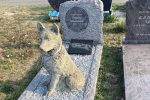 Faire le deuil de son animal de compagnie…
