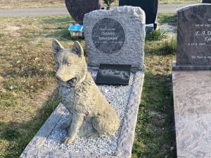 Lire la suite à propos de l’article Faire le deuil de son animal de compagnie…